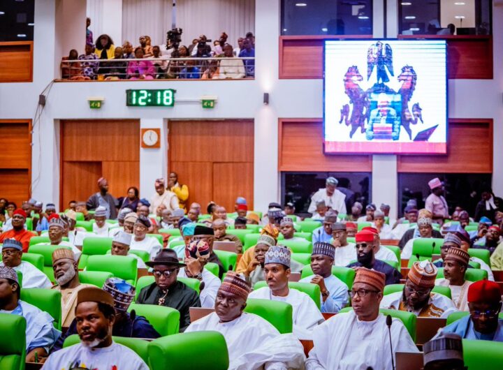 Lawmakers at the House of Representatives