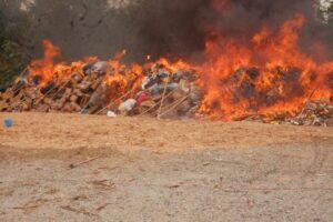 Illicit drugs destroyed by NDLEA