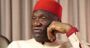 former President-General of Ohanaeze Ndigbo Worldwide, Chief John-Nnia Nwodo,