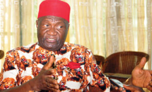 former President-General of Ohanaeze Ndigbo Worldwide, Chief John-Nnia Nwodo,