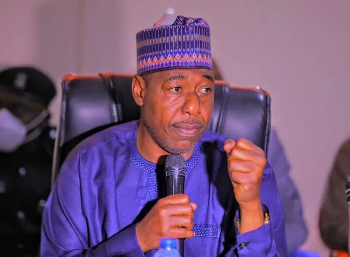 Borno State Governor, Babagana Zulum