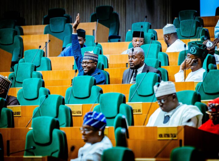 Lawmakers at the House of Representatives