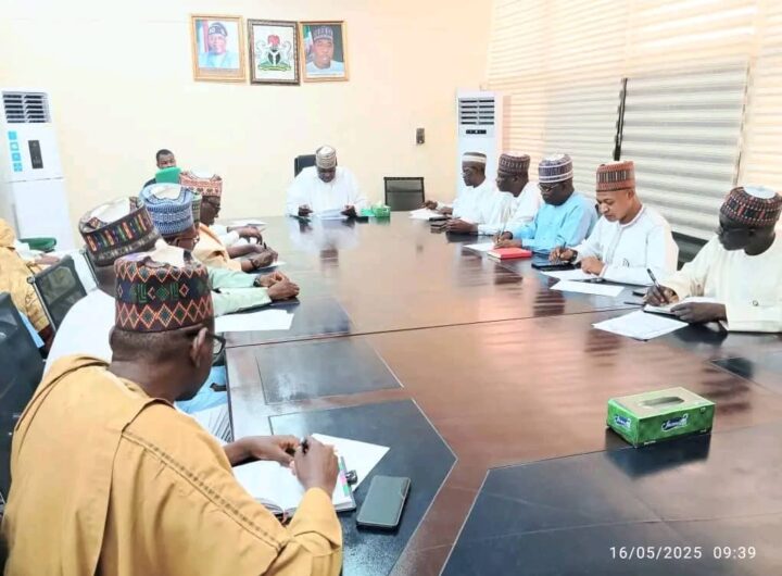 Zulum inaugurates committee to revamp technical, vocational education, museums