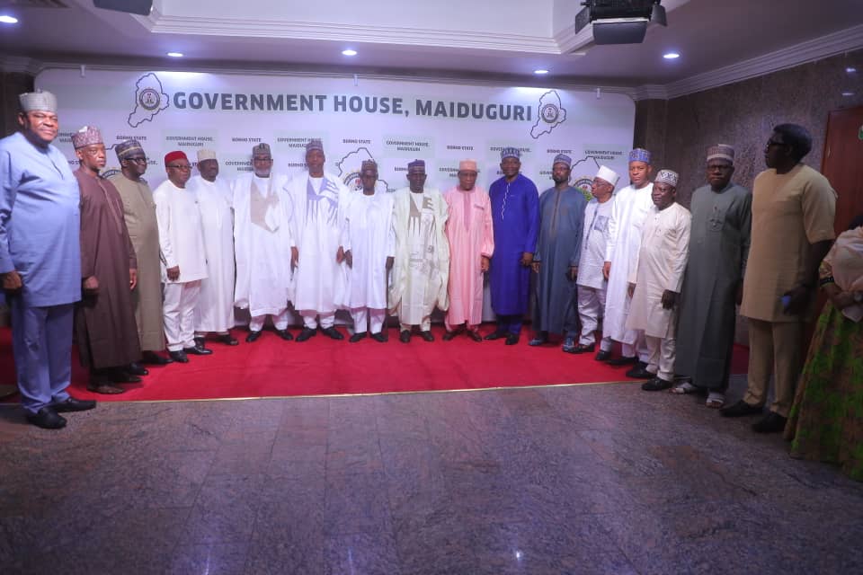 Zulum to NEDC: We want projects with lasting benefits 5 IMG 20250528 WA0013