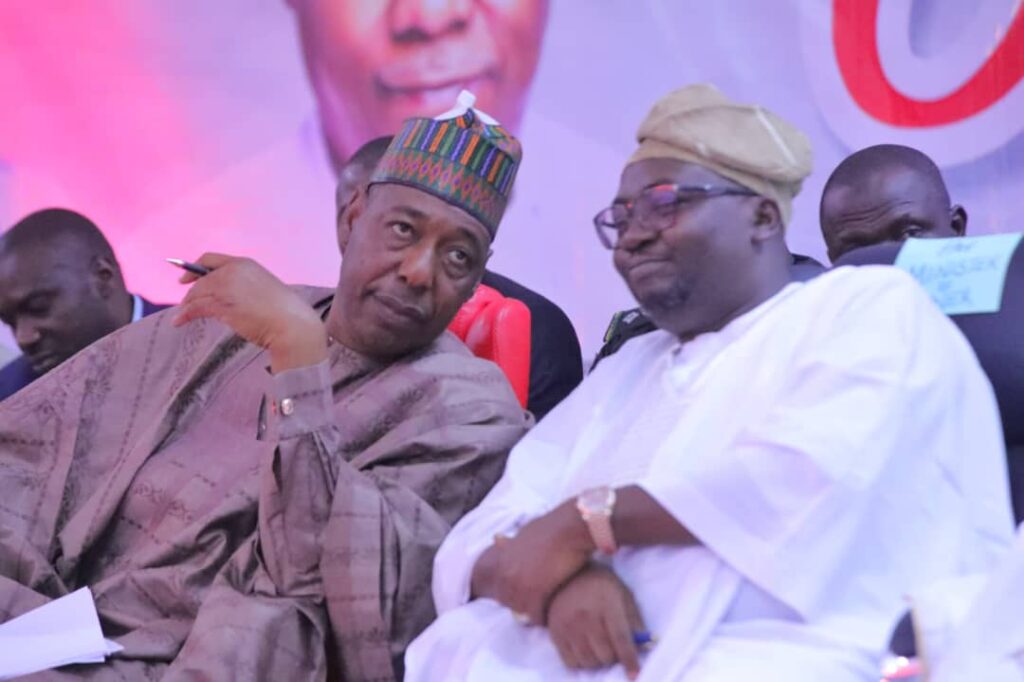 We shouldn't treat energy as commodity, Zulum urges power minister 3 IMG 20250530 WA0003