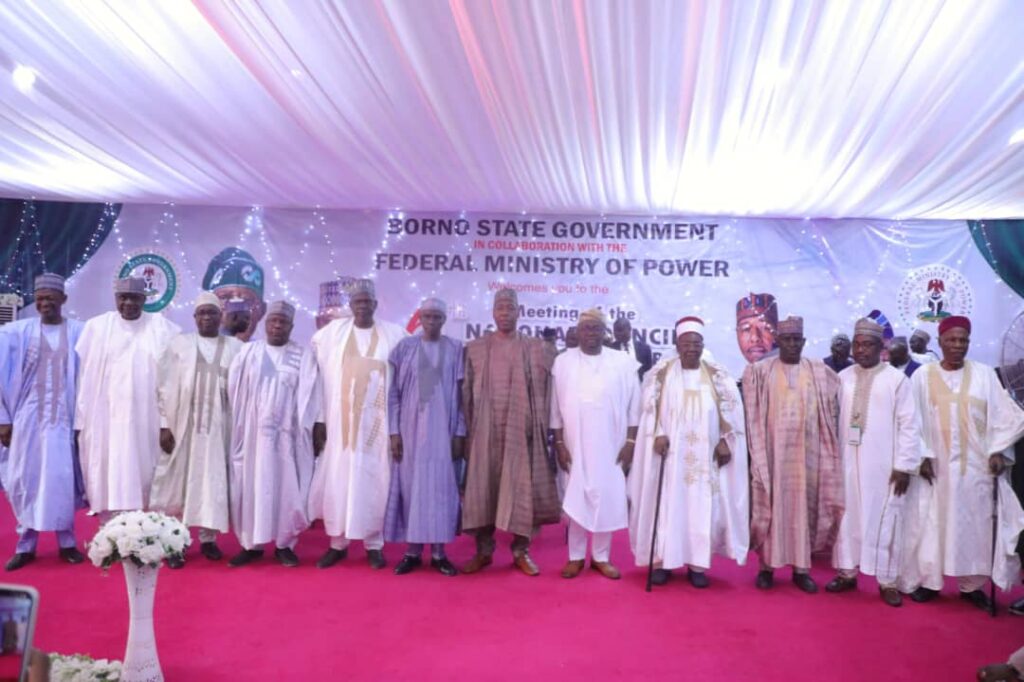 We shouldn't treat energy as commodity, Zulum urges power minister 4 IMG 20250530 WA0005