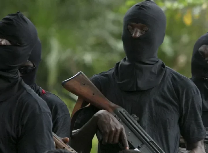 Kidnappers