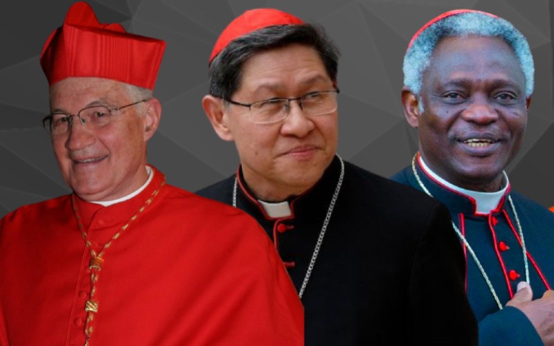 A new Pope after Francis’ Impactful and Exemplary Papacy, By PAUL EJIME 3 Nationality of a New Pope
