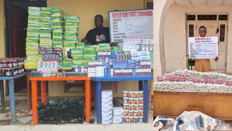 NDLEA arrests suspect