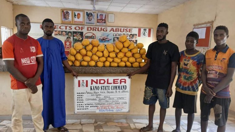 NDLEA intercepts 942 explosives going to Zamfara; arrests wanted drug kingpin after 10 months in hiding 2