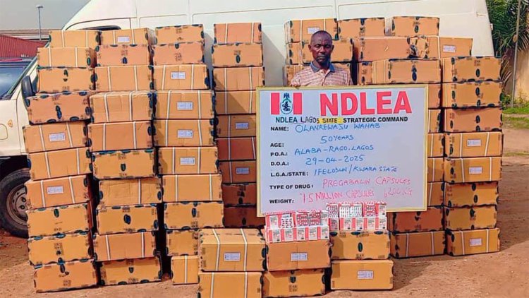 NDLEA intercepts 942 explosives going to Zamfara; arrests wanted drug kingpin after 10 months in hiding 3