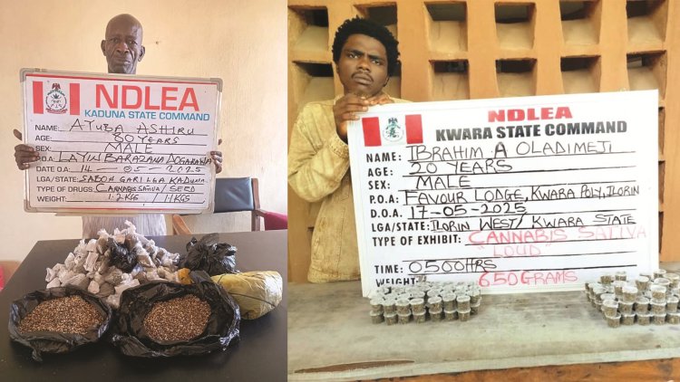 80-yr old ex-convict, 82-yr old grandma arrested as NDLEA intercepts N3.2bn opioids 2