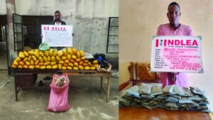 NDLEA arrest drug suspect