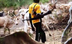 Armed Fulani herdsmen