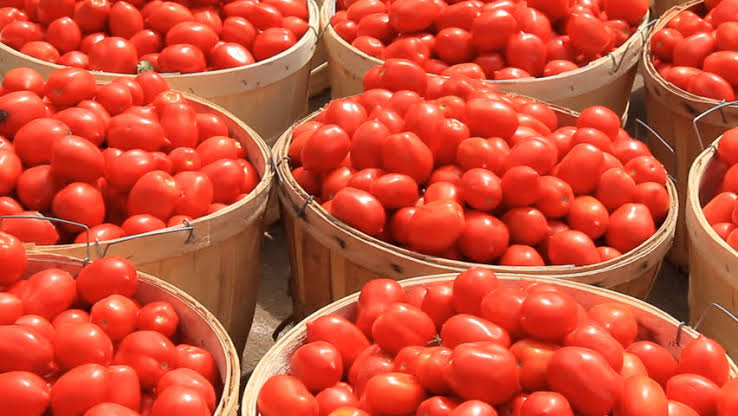 Tomatoes
