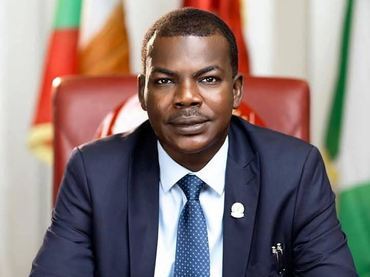 Lawmaker representing Borno Central at the National Assembly, Senator Kaka Lawan