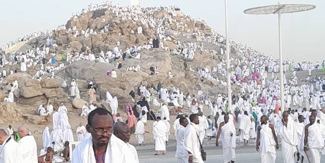 2025 Hajj: Muslim pilgrims converge on Mount Arafat for hajj ritual