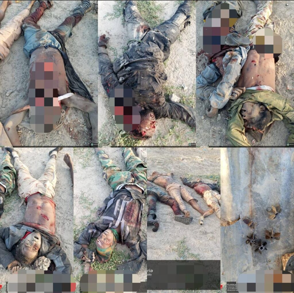 Boko Haram & ISWAP terrorists eliminated by military troops