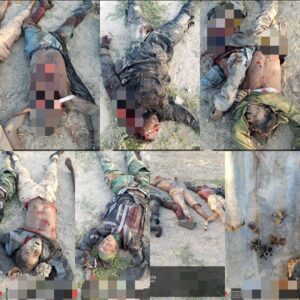 Boko Haram & ISWAP terrorists eliminated by military troops