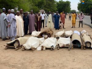 Vctims of Boko Haram suicide bomb in Konduga, Borno State