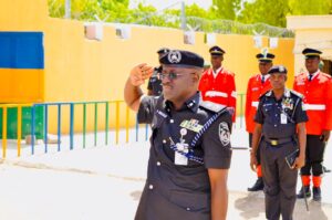 Borno Commissioner of Police, Naziru Abdulmajid