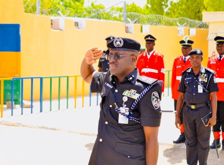 Borno Commissioner of Police, Naziru Abdulmajid