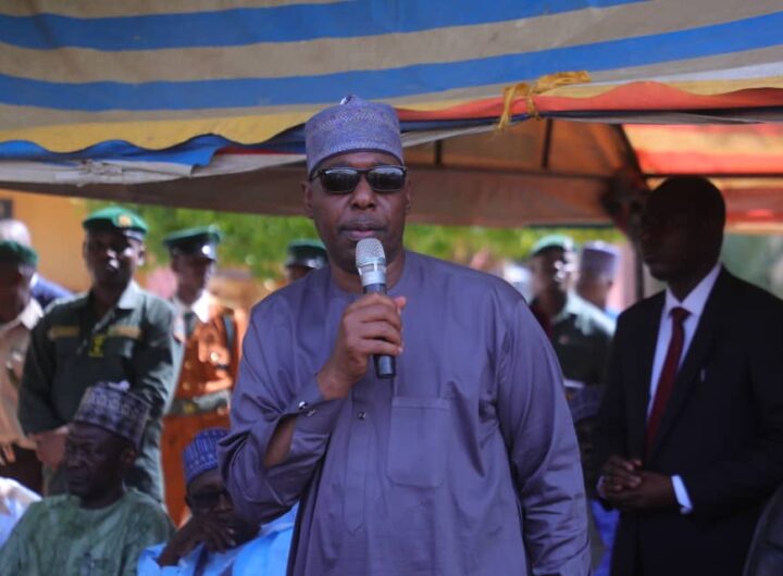 Borno State Governor, Babagana Zulum