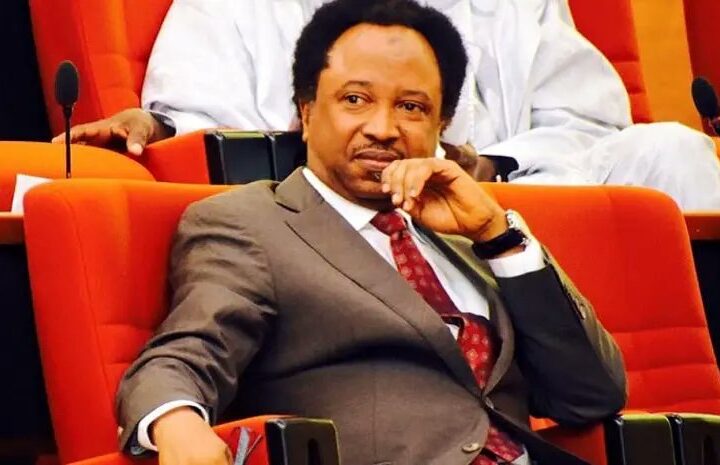 Former Senator Shehu Sani