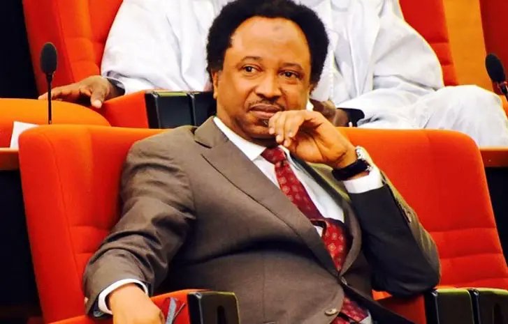 Former Senator Shehu Sani