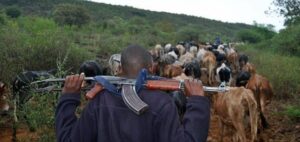 Fulani Herdsmen armed with AK-47
