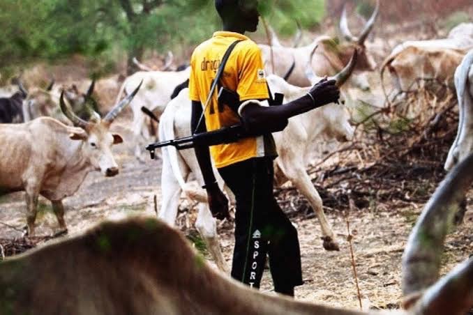 How Fulani Militias Became Nigeria's Deadliest Group While Escaping Global Notice 2 Fulani Herdsmen armed with AK 47 rifle