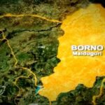 Borno State in North East Nigeria has been grappling with the devastating impact of Boko Haram insurgency for over 15 years.