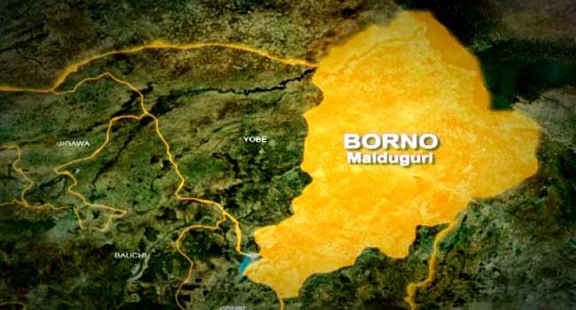 Borno State in North East Nigeria has been grappling with the devastating impact of Boko Haram insurgency for over 15 years.