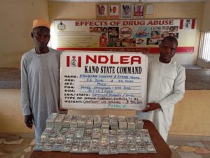 Drug suspects arrested by NDLEA operatives in Kano