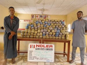 Drug suspects arrested by NDLEA