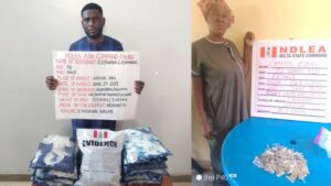NDLEA arrests grandma for drug trafficking