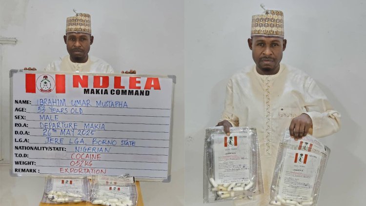 NDLEA busts syndicate sponsoring pilgrims with cocaine to hajj, arrests 3 kingpins in Kano 2 NDLEA busts syndicate sponsoring pilgrims with cocaine to hajj