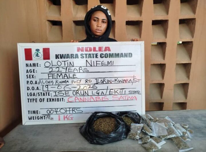 NDLEA nabs drug suspect
