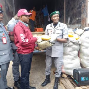 Nigeria Customs Service