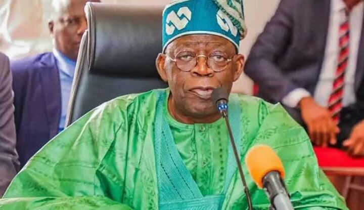 President Bola Tinubu champions Nigeria's democracy