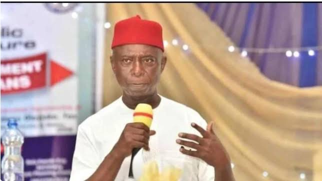 Senator Ned Nwoko