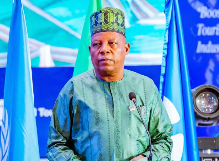 VP Kashim Shettima