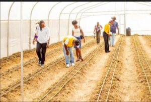 Teva Foods and green economy stakeholders