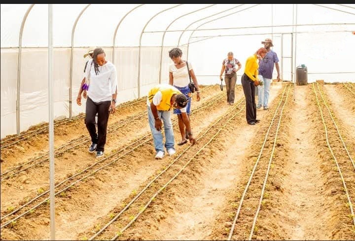 Teva Foods and green economy stakeholders