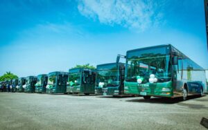 Tin metro bus plateau