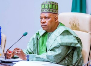 VP Kashim Shettima