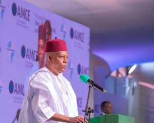 VP Kashim Shettima 34