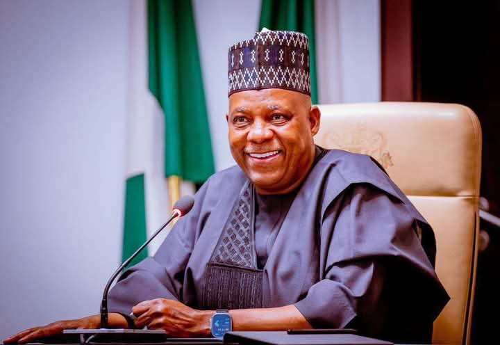 VP Kashim Shettima