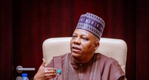 Vice President Kashim Shettima