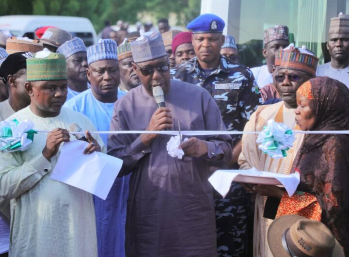 Zulum commissions road in Borno